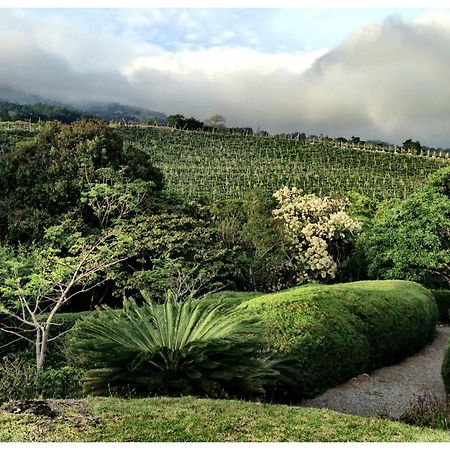 Concepcion Coffee Garden Ranch Costa Rica公寓 外观 照片