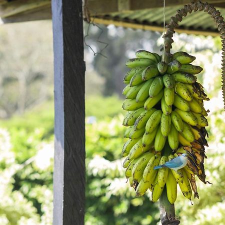 Concepcion Coffee Garden Ranch Costa Rica公寓 外观 照片