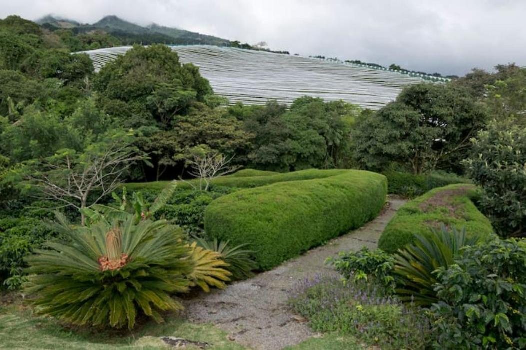 Concepcion Coffee Garden Ranch Costa Rica公寓 外观 照片