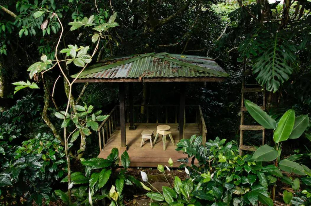 Concepcion Coffee Garden Ranch Costa Rica公寓 外观 照片
