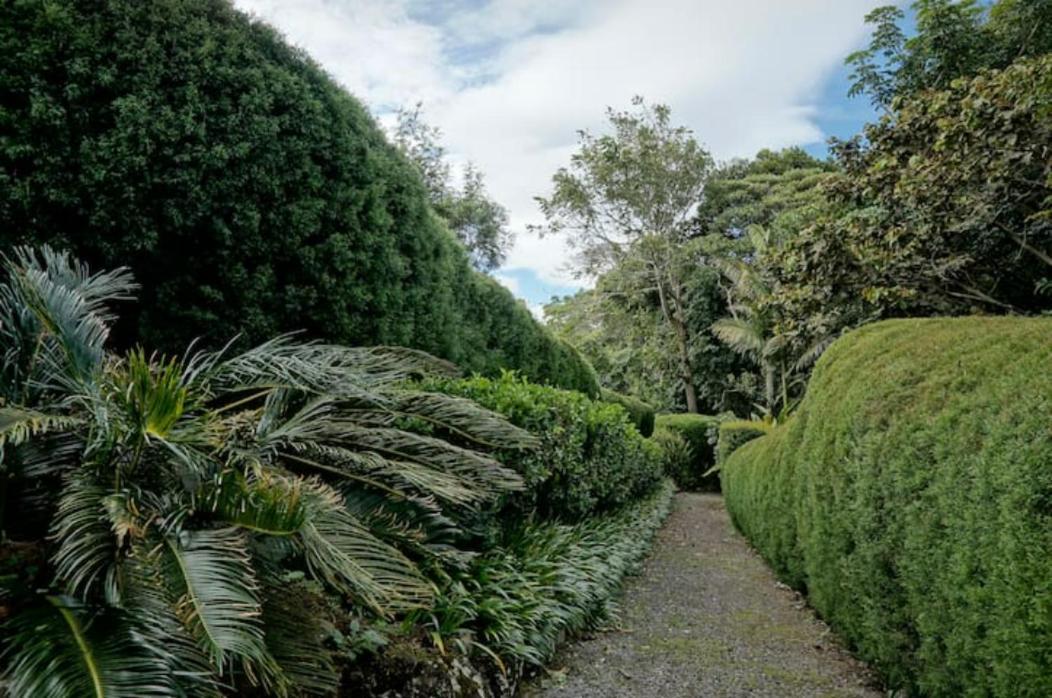 Concepcion Coffee Garden Ranch Costa Rica公寓 外观 照片