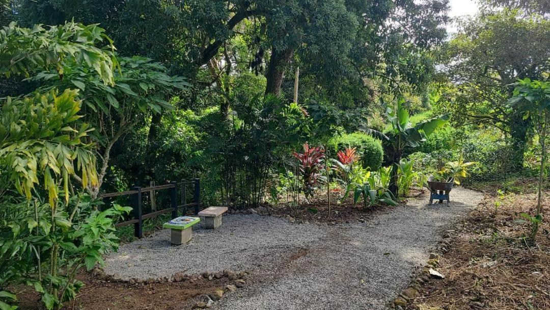 Concepcion Coffee Garden Ranch Costa Rica公寓 外观 照片