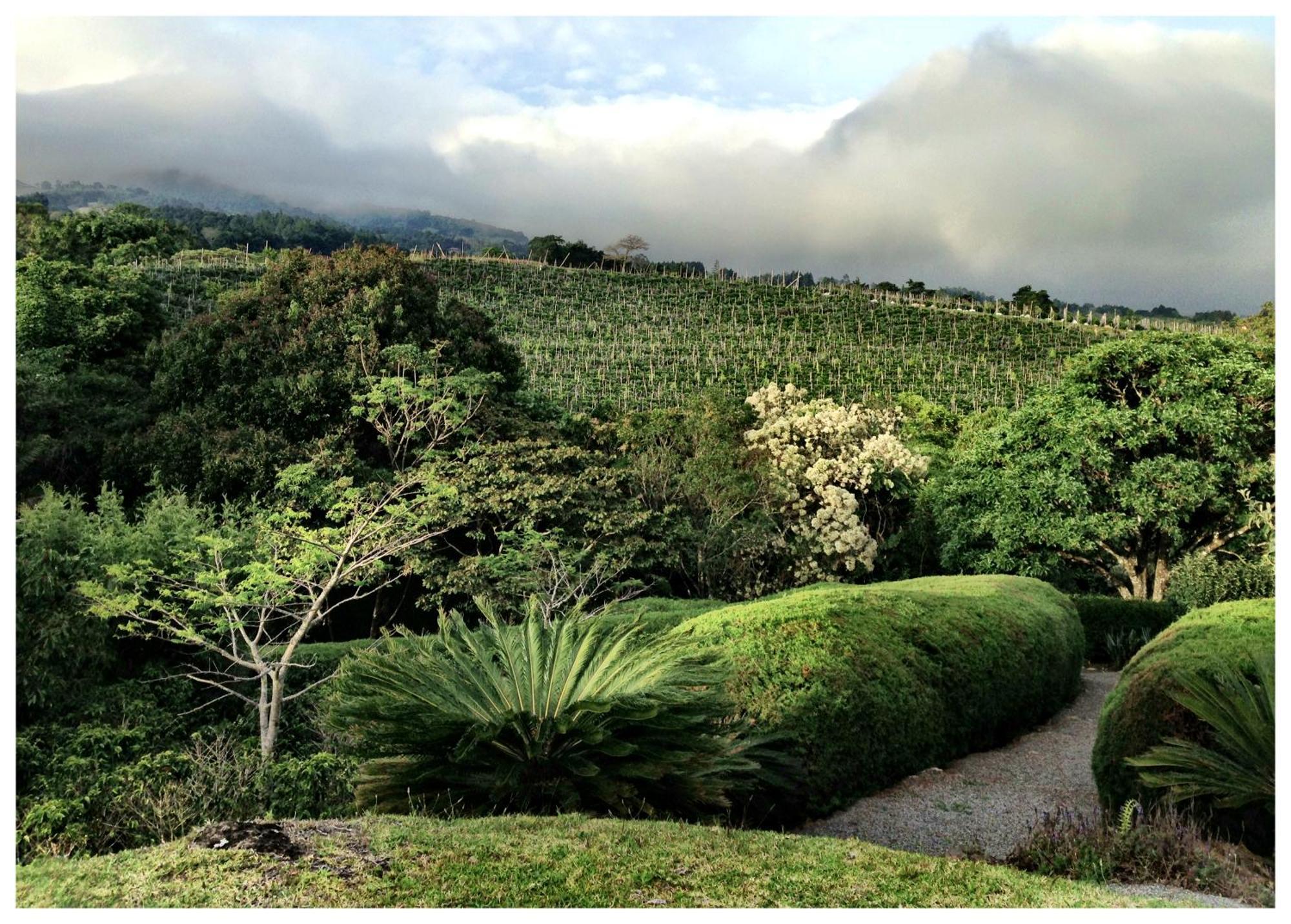 Concepcion Coffee Garden Ranch Costa Rica公寓 外观 照片