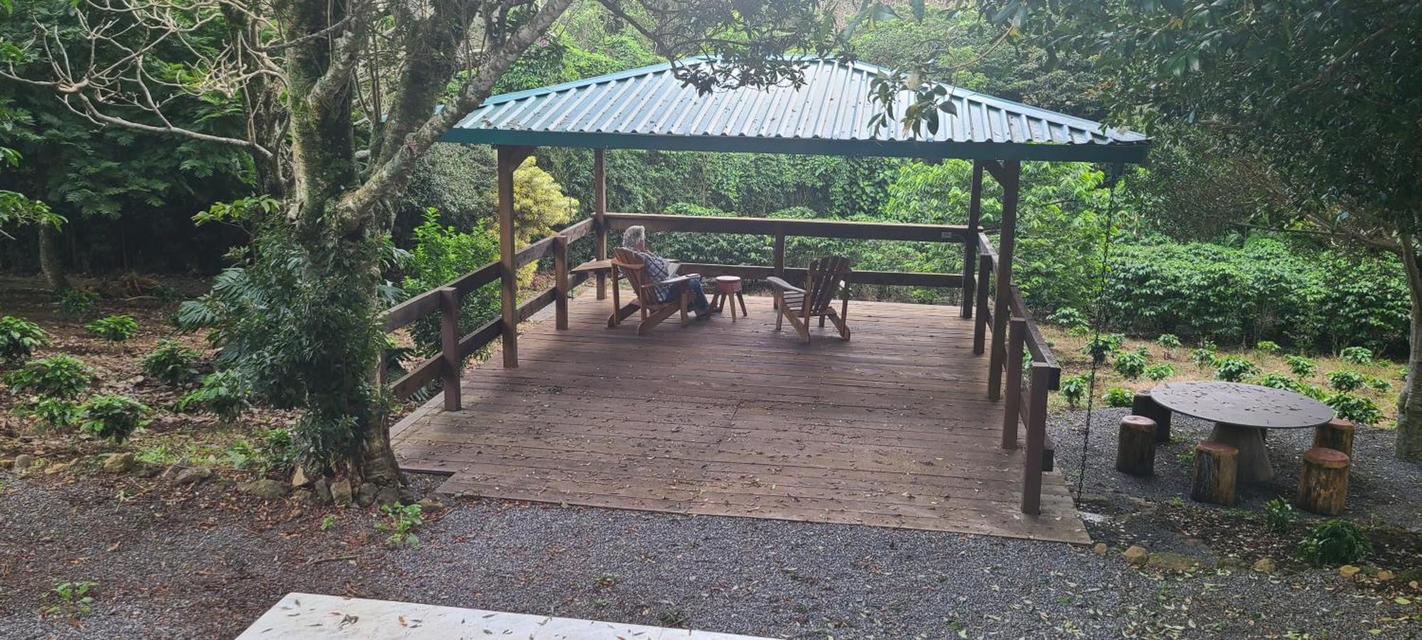 Concepcion Coffee Garden Ranch Costa Rica公寓 外观 照片